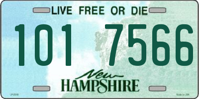 NH license plate 1017566