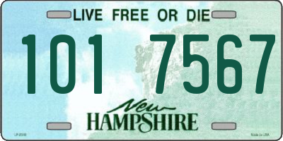 NH license plate 1017567