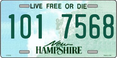 NH license plate 1017568
