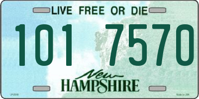 NH license plate 1017570