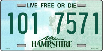 NH license plate 1017571