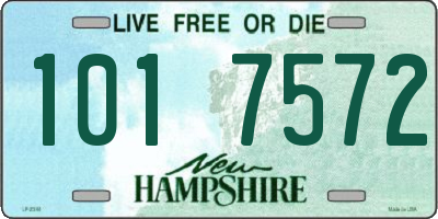 NH license plate 1017572