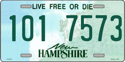 NH license plate 1017573