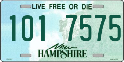 NH license plate 1017575