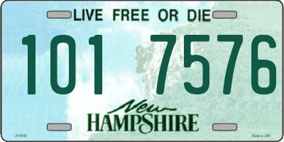 NH license plate 1017576