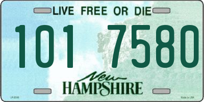 NH license plate 1017580