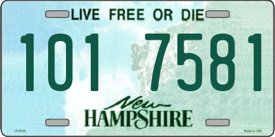 NH license plate 1017581