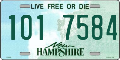 NH license plate 1017584