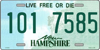 NH license plate 1017585