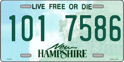 NH license plate 1017586