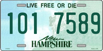 NH license plate 1017589