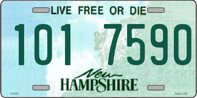 NH license plate 1017590
