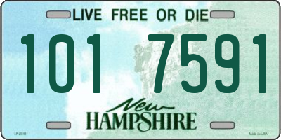 NH license plate 1017591