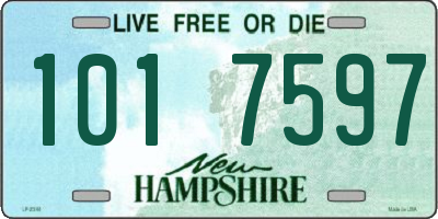 NH license plate 1017597