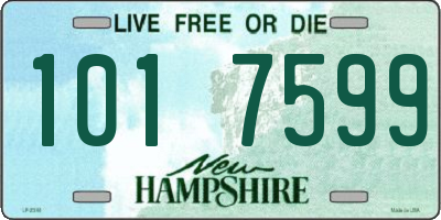 NH license plate 1017599