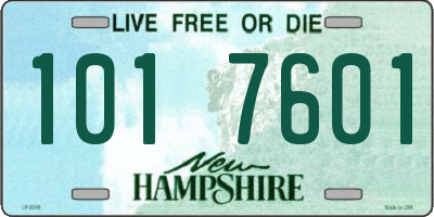 NH license plate 1017601