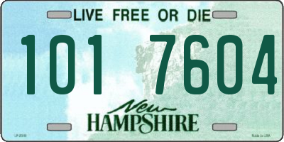 NH license plate 1017604