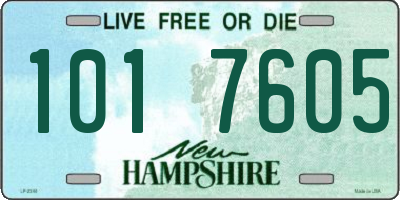 NH license plate 1017605