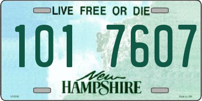 NH license plate 1017607