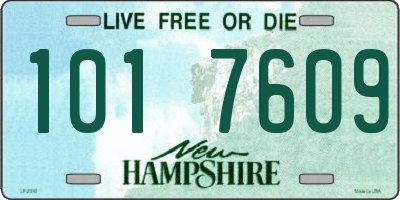 NH license plate 1017609