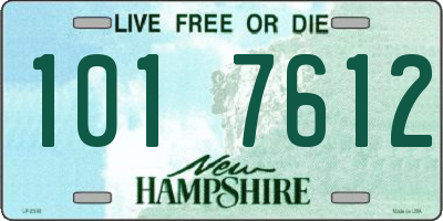 NH license plate 1017612
