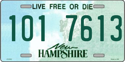 NH license plate 1017613
