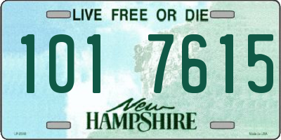 NH license plate 1017615