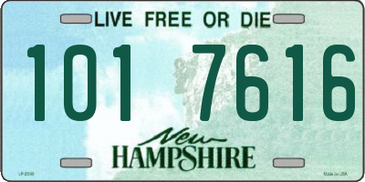 NH license plate 1017616