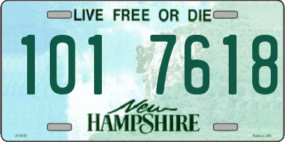NH license plate 1017618