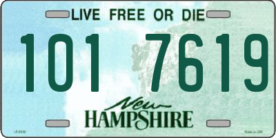 NH license plate 1017619