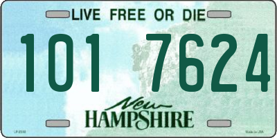 NH license plate 1017624