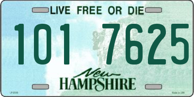 NH license plate 1017625