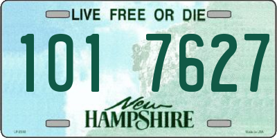NH license plate 1017627