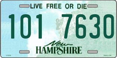 NH license plate 1017630