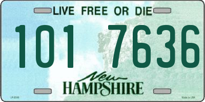 NH license plate 1017636