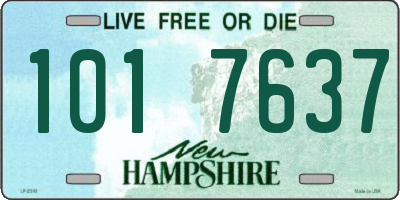NH license plate 1017637