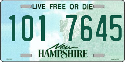 NH license plate 1017645
