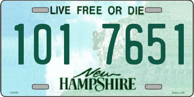 NH license plate 1017651