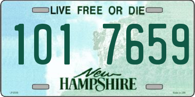 NH license plate 1017659