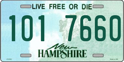 NH license plate 1017660