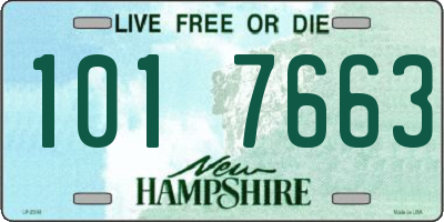 NH license plate 1017663
