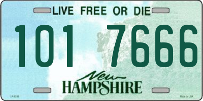 NH license plate 1017666