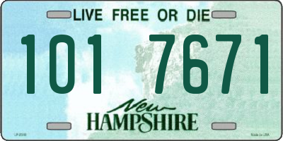 NH license plate 1017671