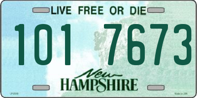 NH license plate 1017673