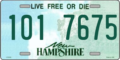 NH license plate 1017675
