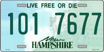 NH license plate 1017677