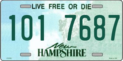 NH license plate 1017687