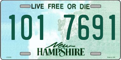 NH license plate 1017691
