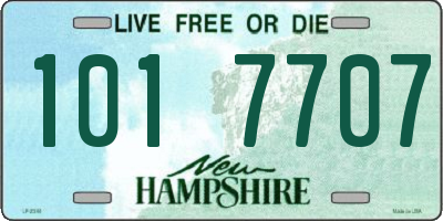 NH license plate 1017707