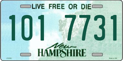 NH license plate 1017731